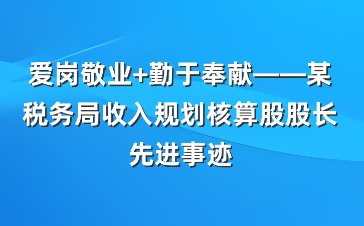 爱岗敬业 勤于奉献——某税务局收入规划核算股股长先进事迹