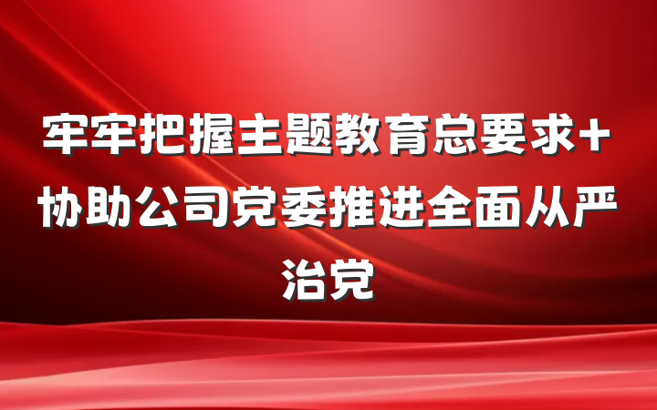 牢牢把握主题教育总要求 协助公司党委推进全面从严治党