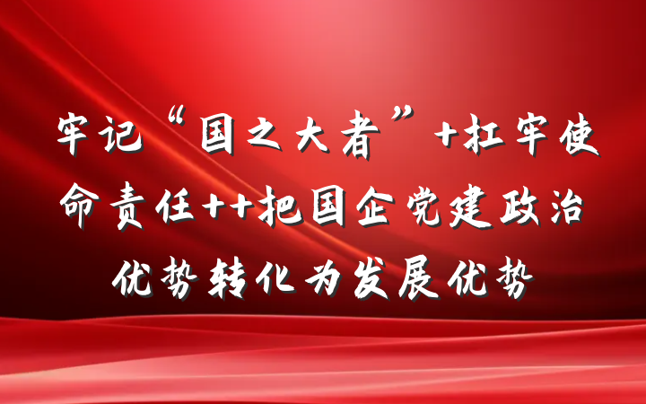 牢记“国之大者” 扛牢使命责任  把国企党建政治优势转化为发展优势