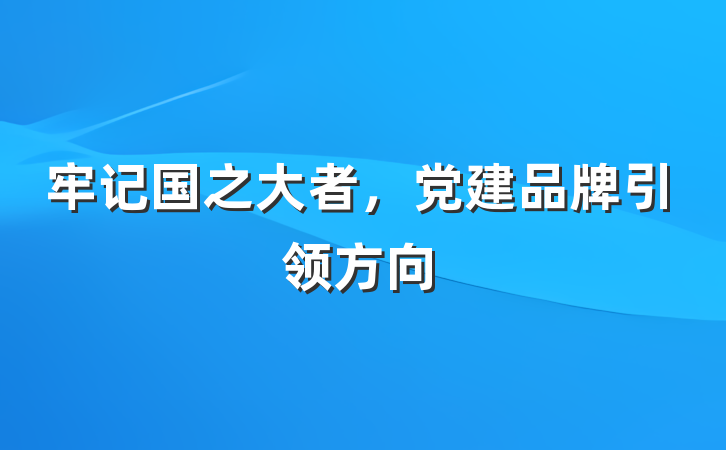 牢记国之大者，党建品牌引领方向