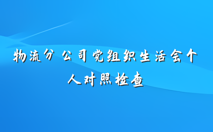 物流分公司党组织生活会个人对照检查