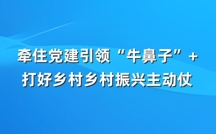 牵住党建引领“牛鼻子”+打好乡村乡村振兴主动仗
