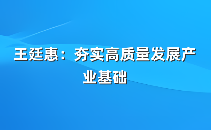 王廷惠：夯实高质量发展产业基础