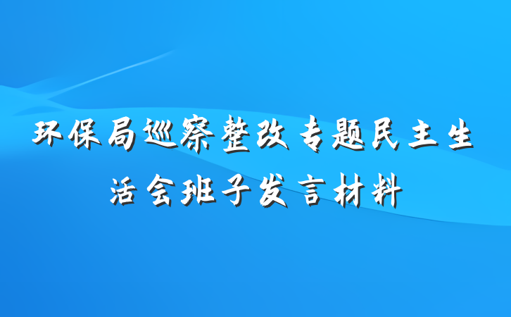 环保局巡察整改专题民主生活会班子发言材料
