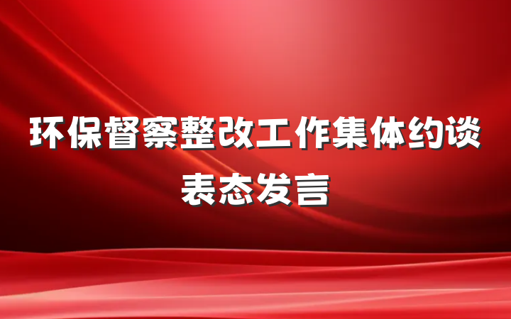 环保督察整改工作集体约谈表态发言