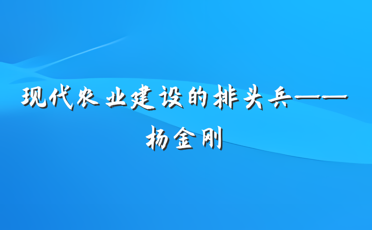 现代农业建设的排头兵——杨金刚