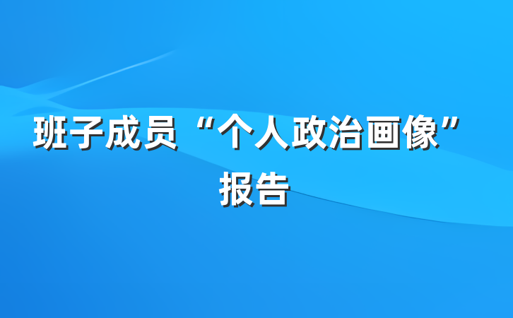 班子成员“个人政治画像”报告