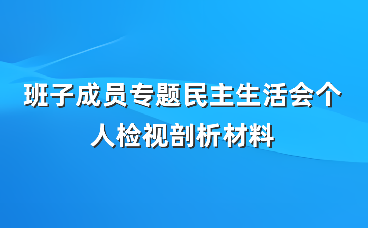 班子成员专题民主生活会个人检视剖析材料
