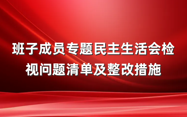班子成员专题民主生活会检视问题清单及整改措施