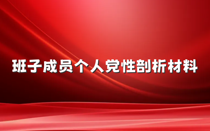 班子成员个人党性剖析材料