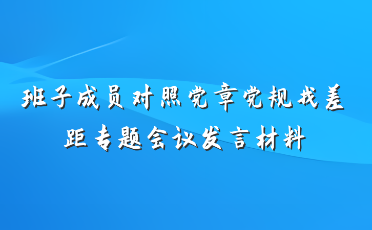 班子成员对照党章党规找差距专题会议发言材料