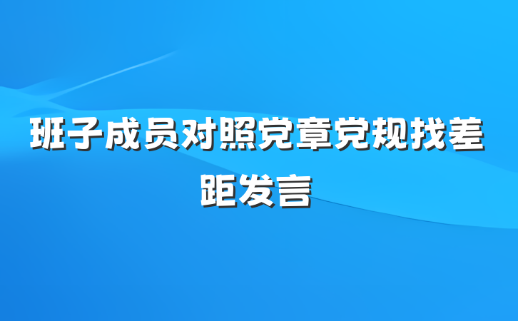 班子成员对照党章党规找差距发言