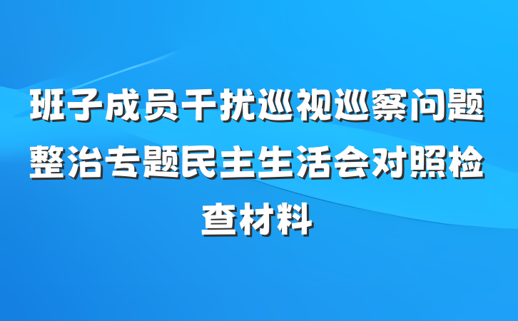 班子成员干扰巡视巡察问题整治专题民主生活会对照检查材料