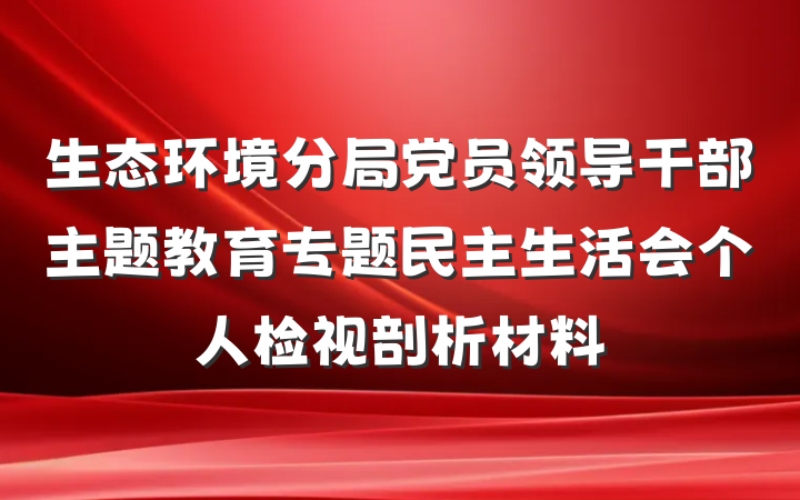生态环境分局党员领导干部主题教育专题民主生活会个人检视剖析材料