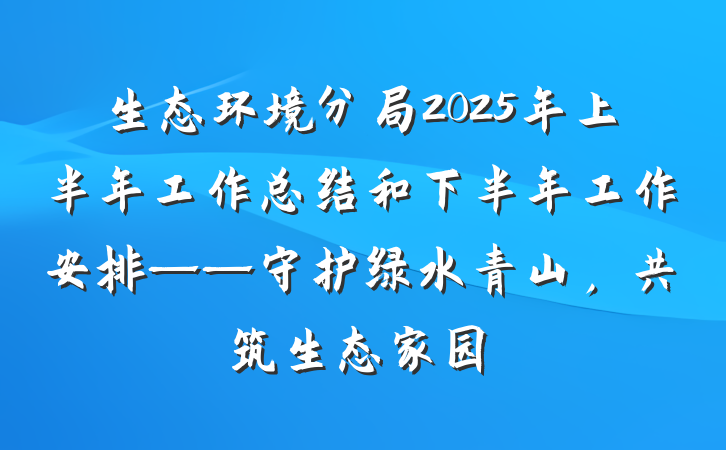 生态环境分局2025年上半年工作总结和下半年工作安排——守护绿水青山，共筑生态家园