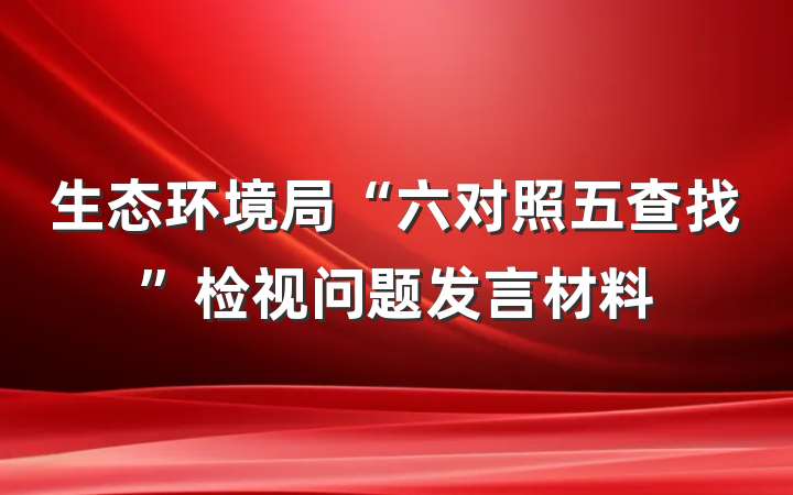 生态环境局“六对照五查找”检视问题发言材料