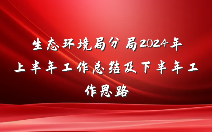 生态环境局分局2024年上半年工作总结及下半年工作思路