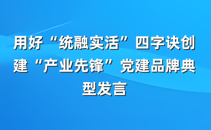用好“统融实活”四字诀创建“产业先锋”党建品牌典型发言
