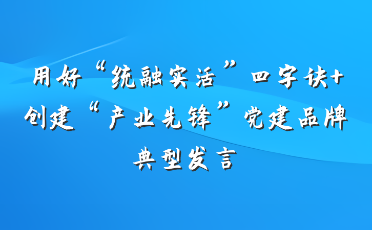 用好“统融实活”四字诀 创建“产业先锋”党建品牌典型发言