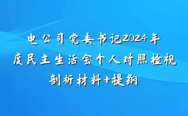 电公司党委书记2024年度民主生活会个人对照检视剖析材料 提纲