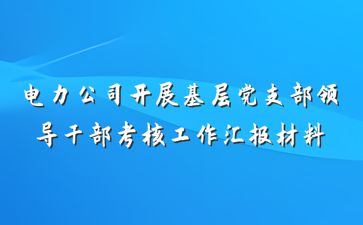 电力公司开展基层党支部领导干部考核工作汇报材料