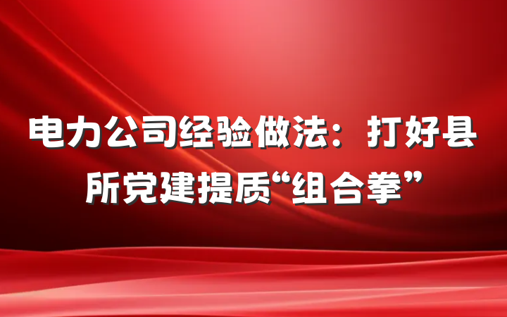 电力公司经验做法：打好县所党建提质“组合拳”