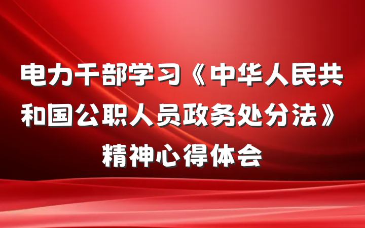 电力干部学习《中华人民共和国公职人员政务处分法》精神心得体会