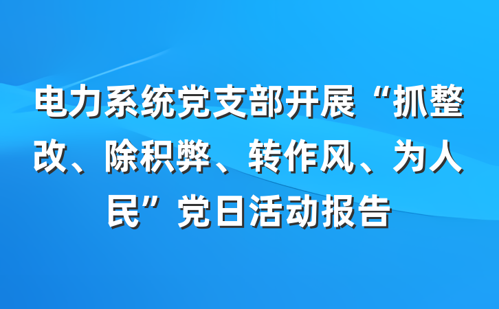 电力系统党支部开展“抓整改、除积弊、转作风、为人民”党日活动报告