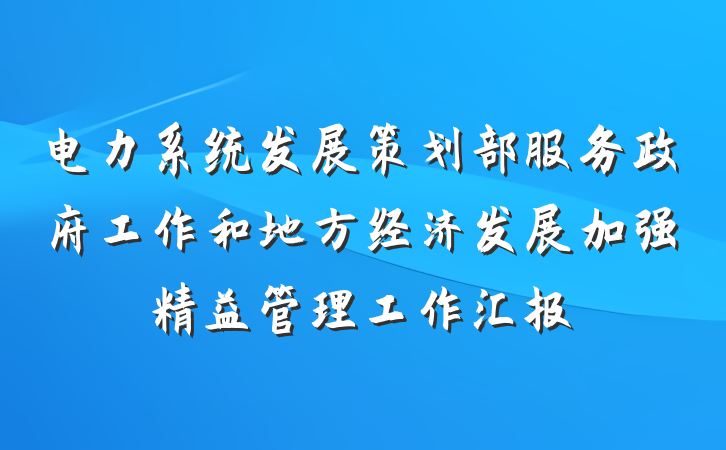 电力系统发展策划部服务政府工作和地方经济发展加强精益管理工作汇报