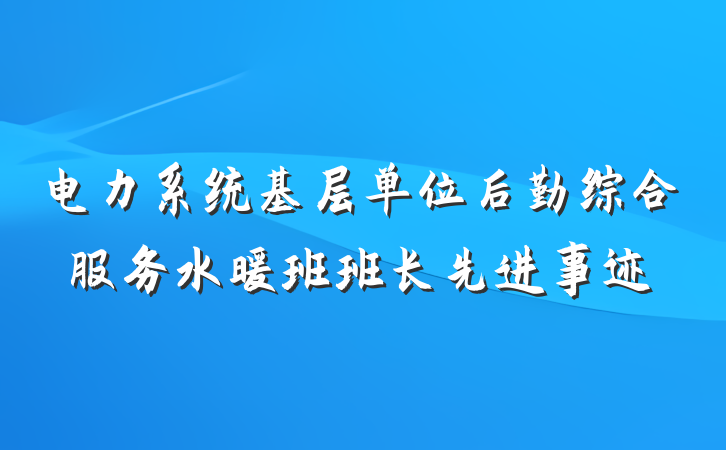 电力系统基层单位后勤综合服务水暖班班长先进事迹