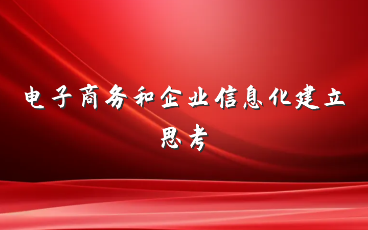 电子商务和企业信息化建立思考