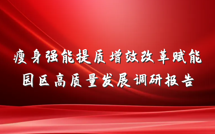 瘦身强能提质增效改革赋能园区高质量发展调研报告