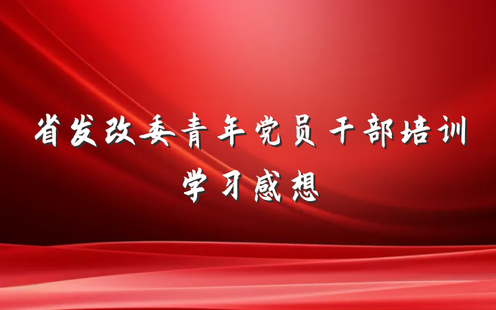 省发改委青年党员干部培训学习感想