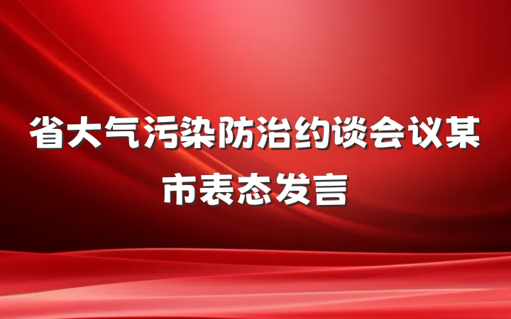 省大气污染防治约谈会议某市表态发言