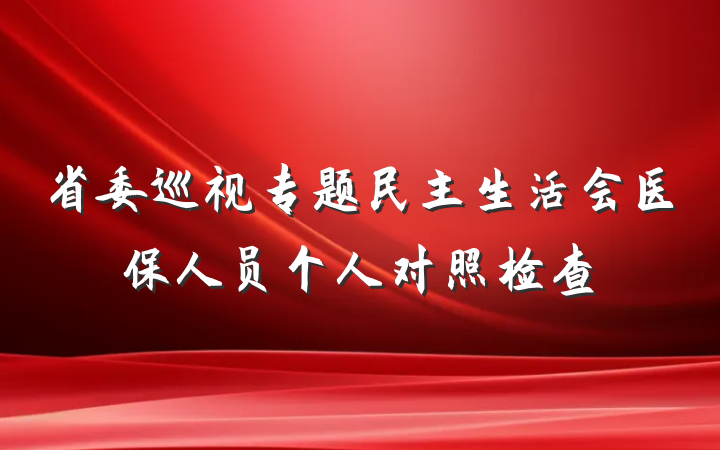 省委巡视专题民主生活会医保人员个人对照检查