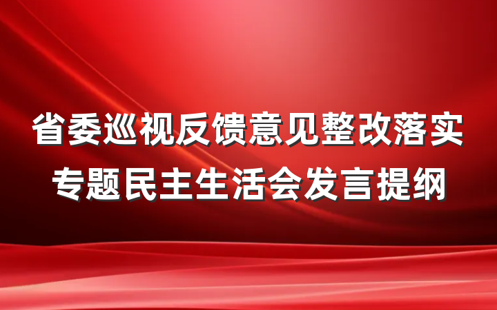 省委巡视反馈意见整改落实专题民主生活会发言提纲