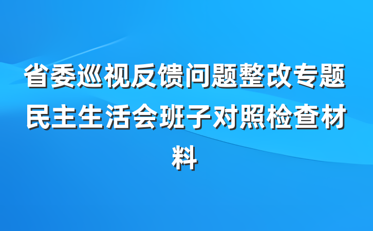省委巡视反馈问题整改专题民主生活会班子对照检查材料
