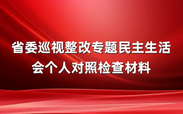 省委巡视整改专题民主生活会个人对照检查材料