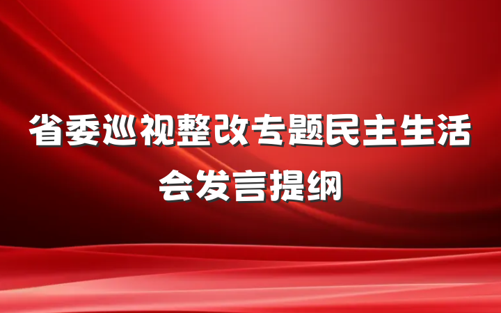 省委巡视整改专题民主生活会发言提纲