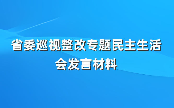 省委巡视整改专题民主生活会发言材料