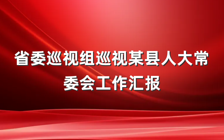 省委巡视组巡视某县人大常委会工作汇报