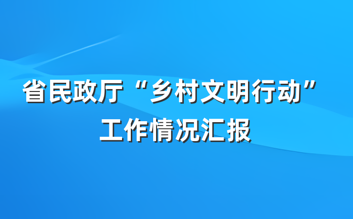 省民政厅“乡村文明行动”工作情况汇报