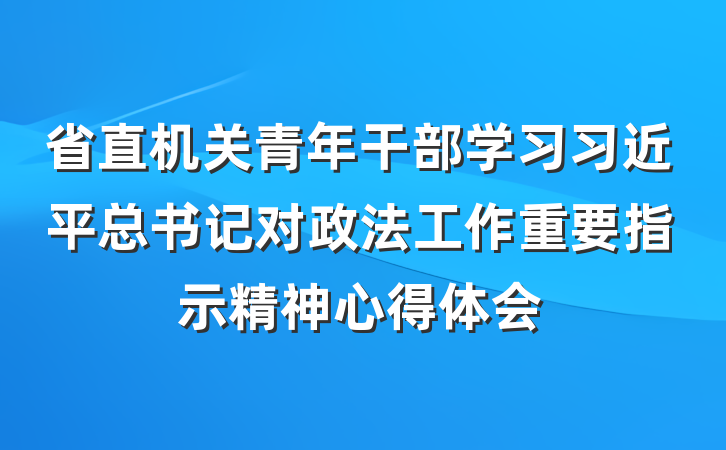 省直机关青年干部学习习近平总书记对政法工作重要指示精神心得体会
