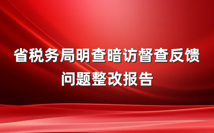 省税务局明查暗访督查反馈问题整改报告