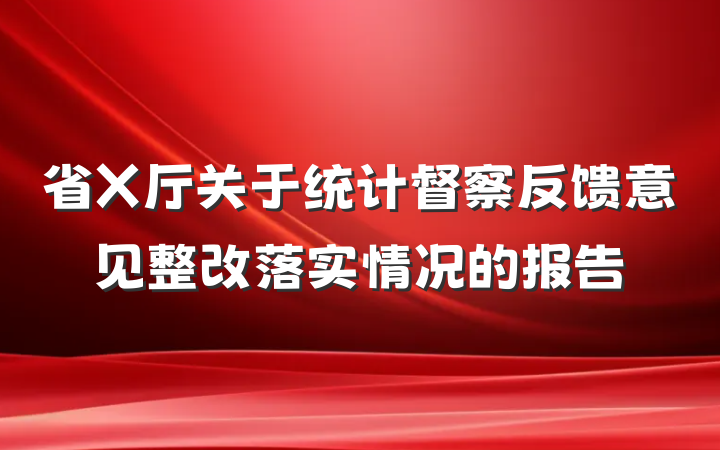 省X厅关于统计督察反馈意见整改落实情况的报告