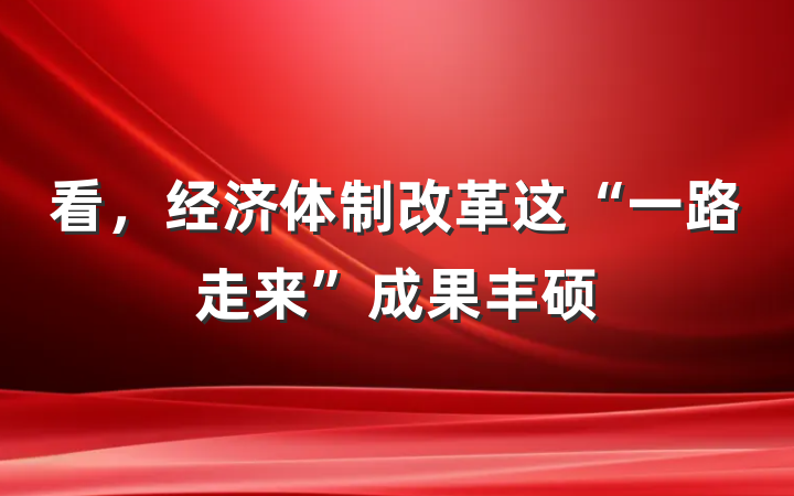 看，经济体制改革这“一路走来”成果丰硕