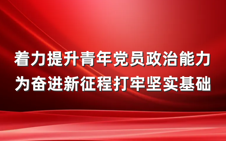 着力提升青年党员政治能力为奋进新征程打牢坚实基础