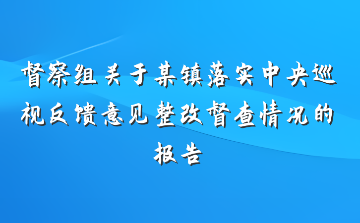 督察组关于某镇落实中央巡视反馈意见整改督查情况的报告