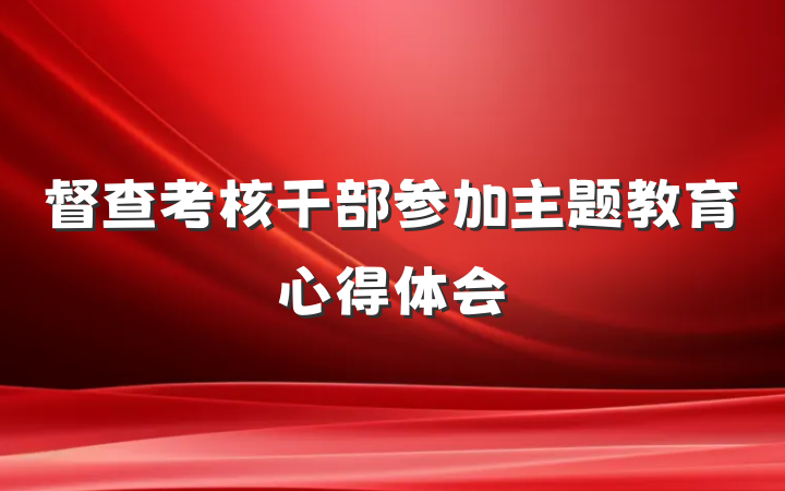 督查考核干部参加主题教育心得体会