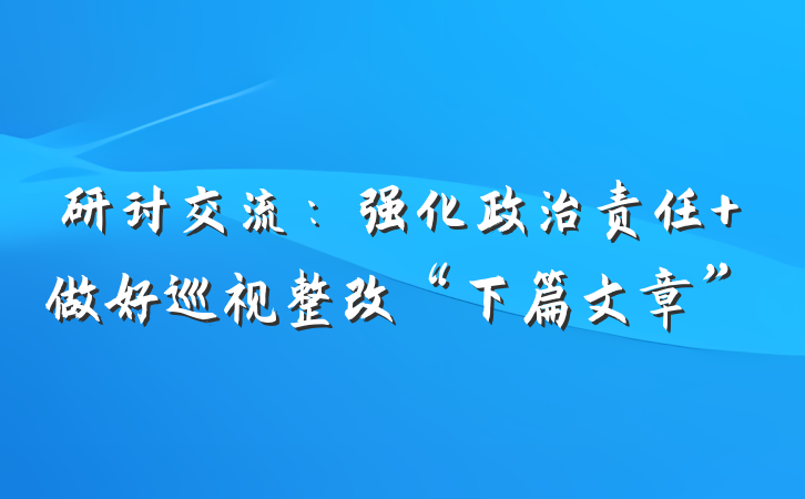 研讨交流：强化政治责任 做好巡视整改“下篇文章”
